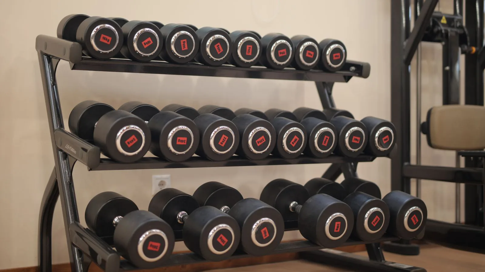 Dumbbells lined up on a gym rack.