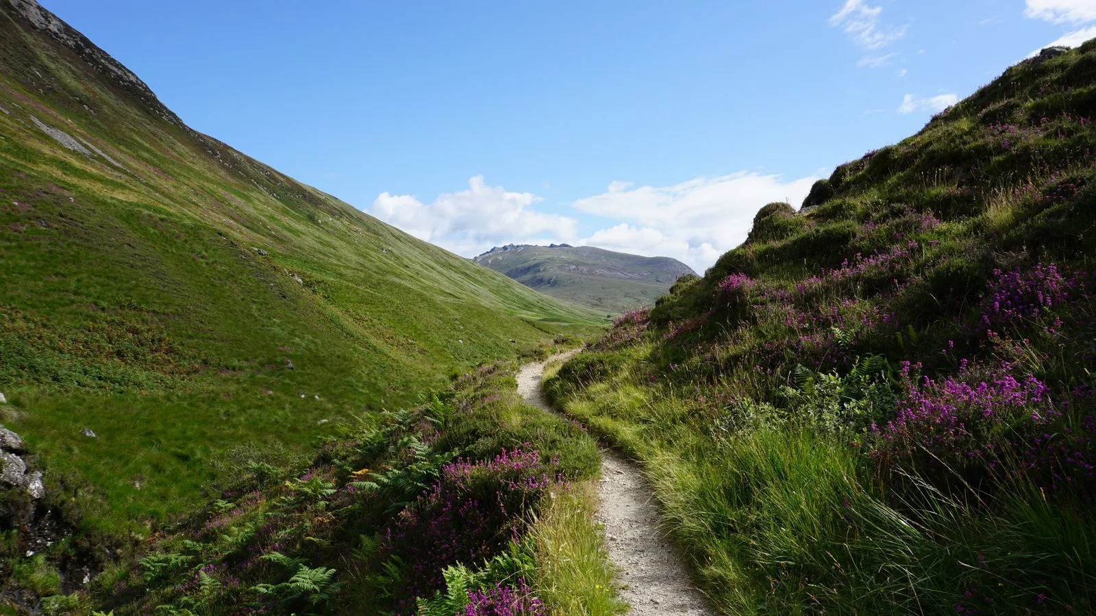 A hiking trail winding up a green Highland valley.