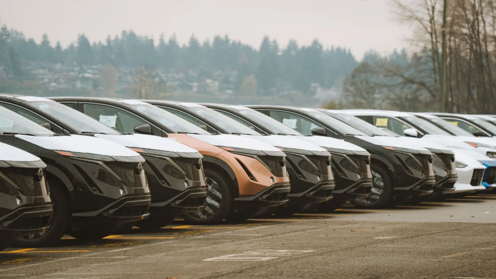 Filas de coches nuevos aparcados en la campa de un concesionario.