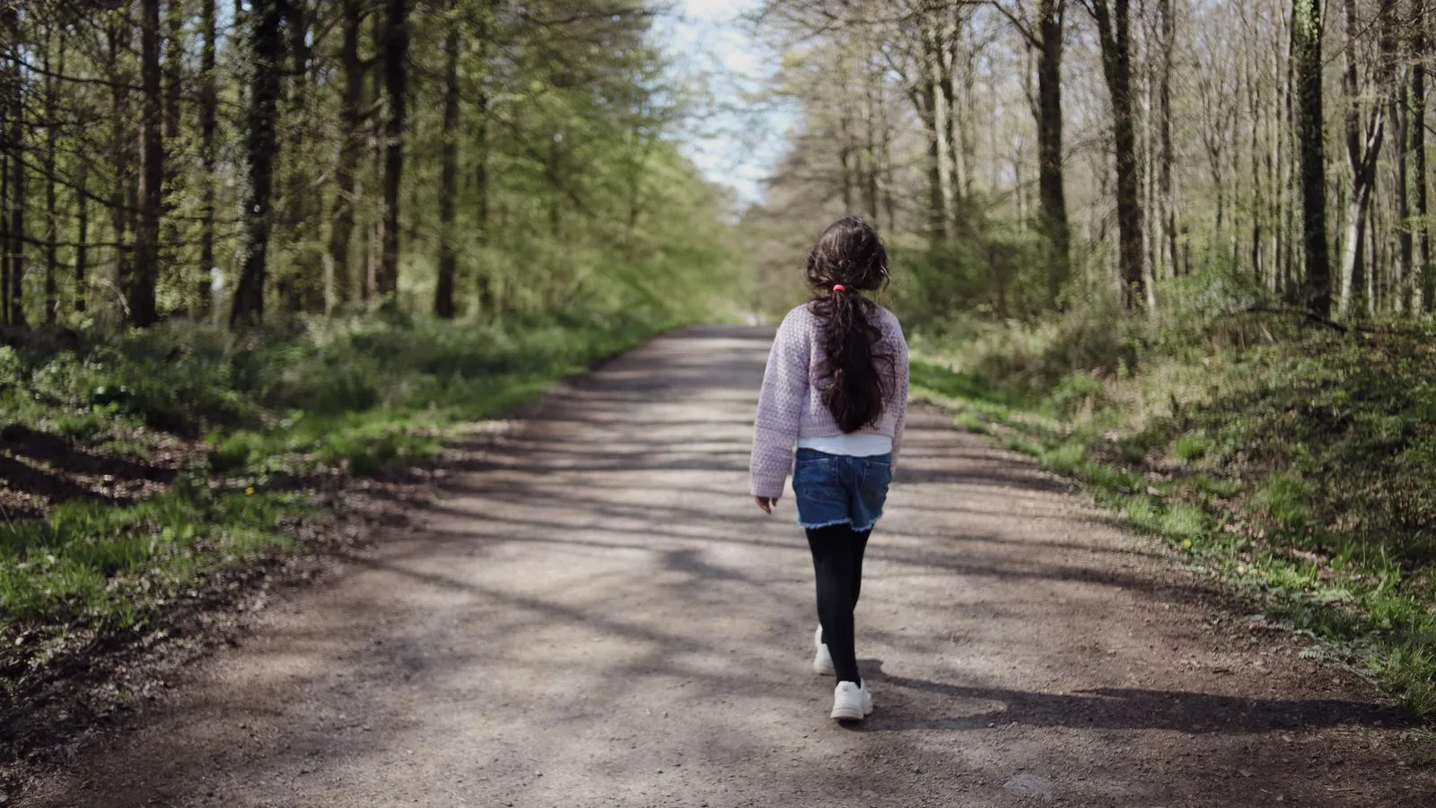 Una persona cammina lungo un sentiero nel bosco in primavera.