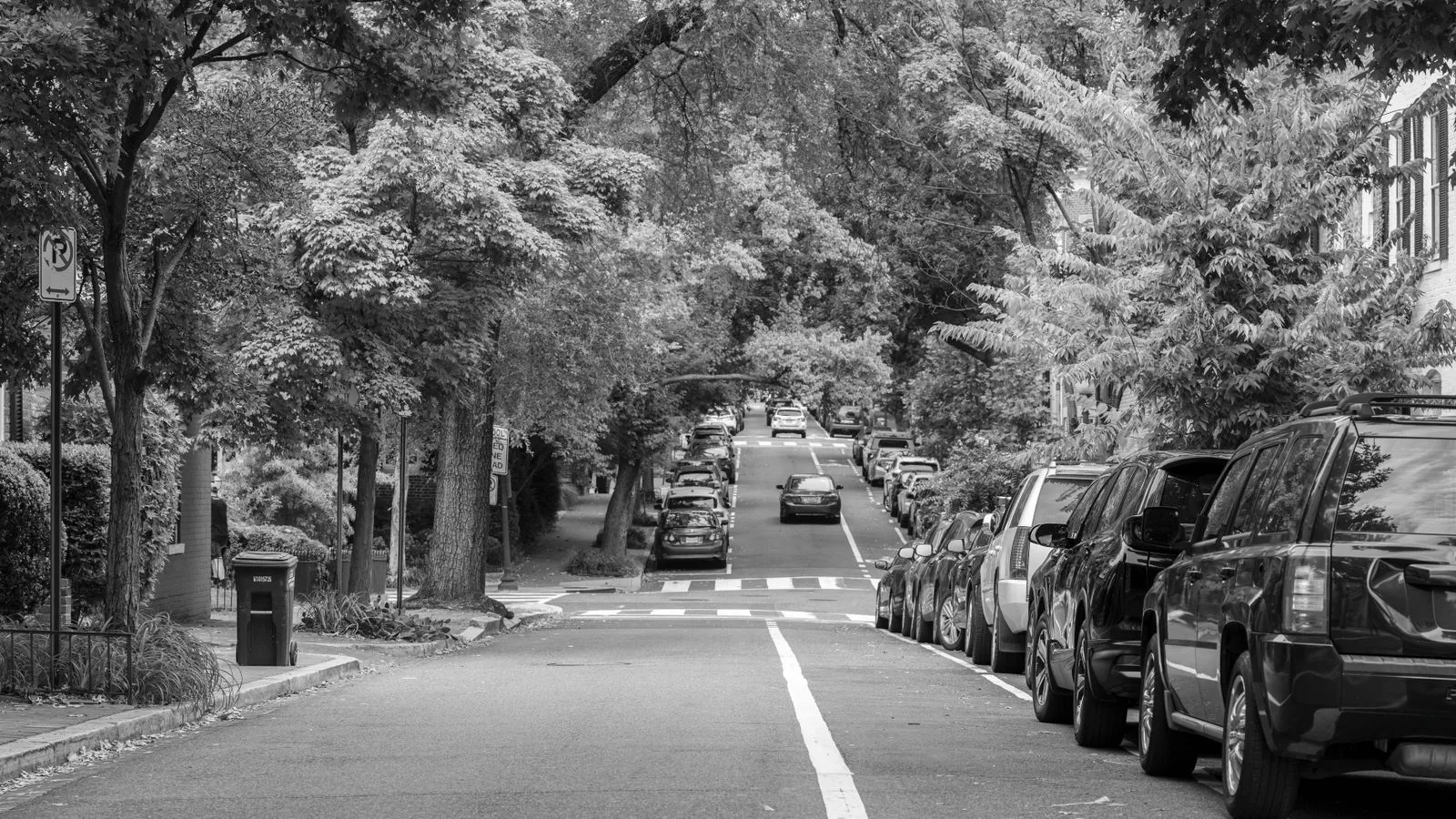 Una strada alberata con auto parcheggiate su entrambi i lati.