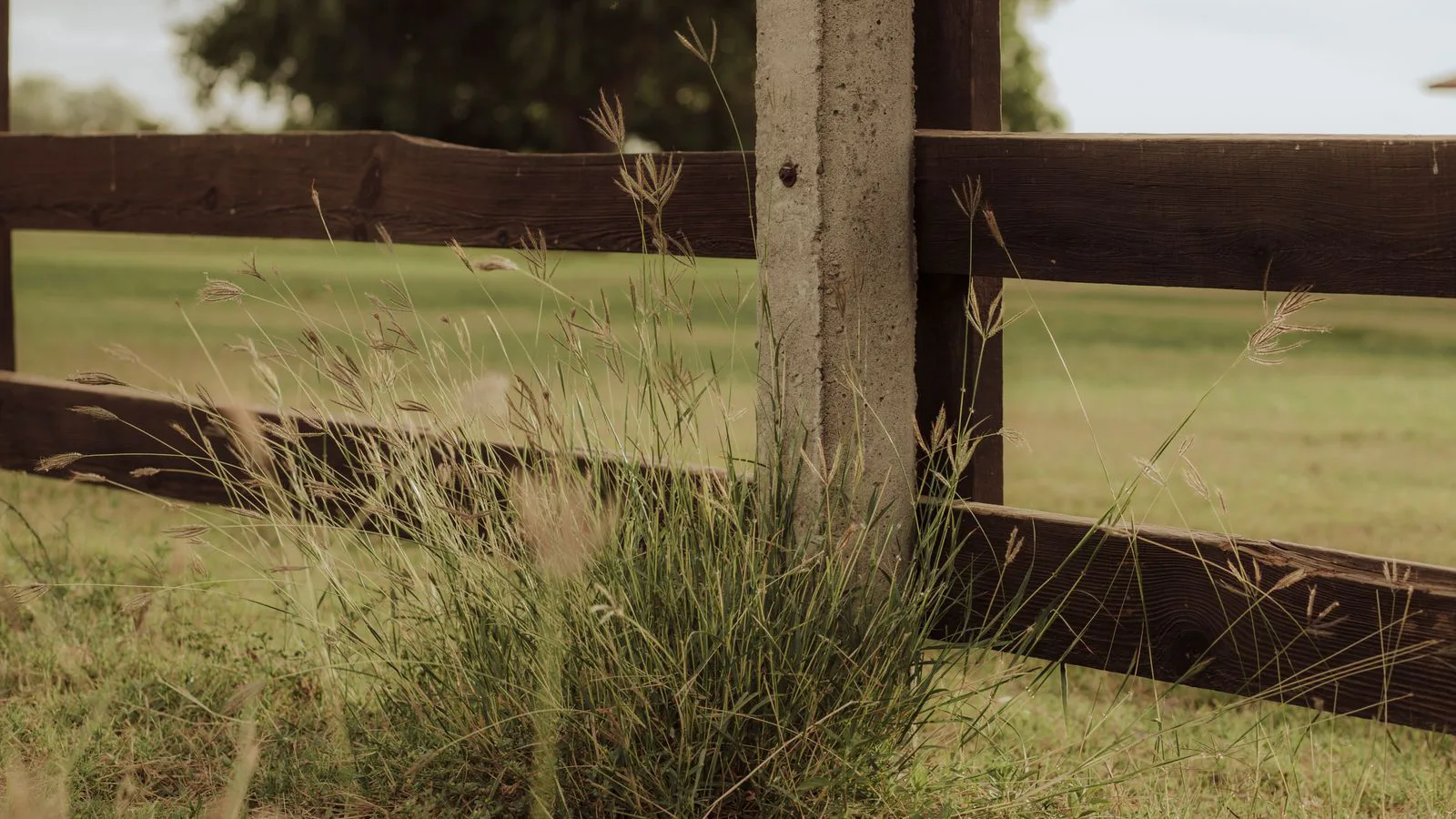 A rustic wooden fence with its posts set in a grass field.