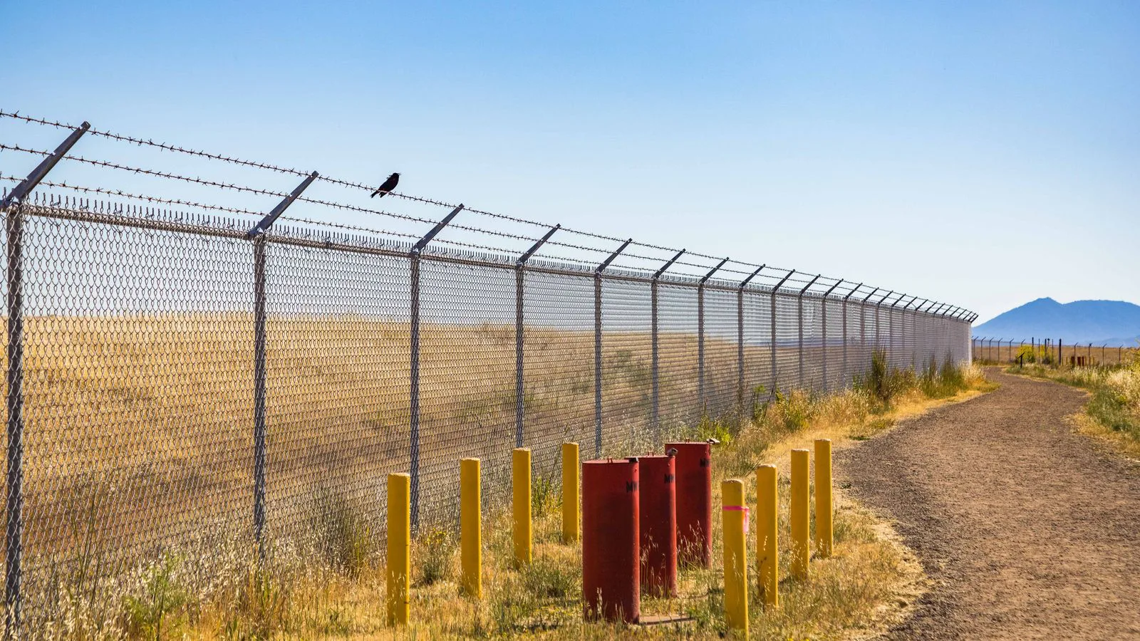 A wire fence running along a dry path, a bird perched on the top strand.