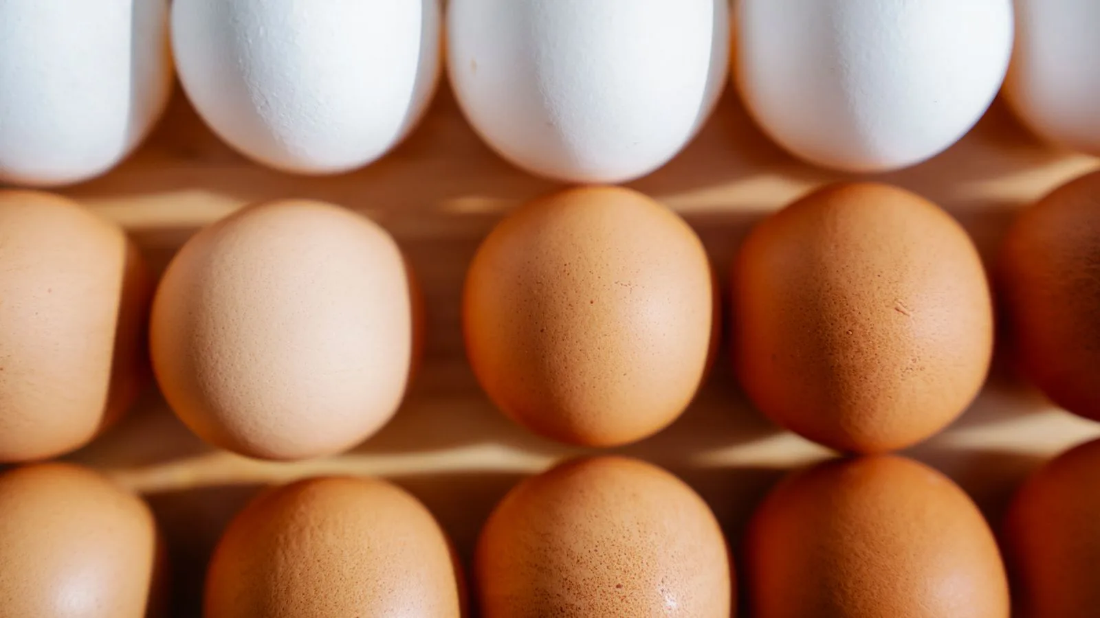 Brown and white eggs arranged in a tray.