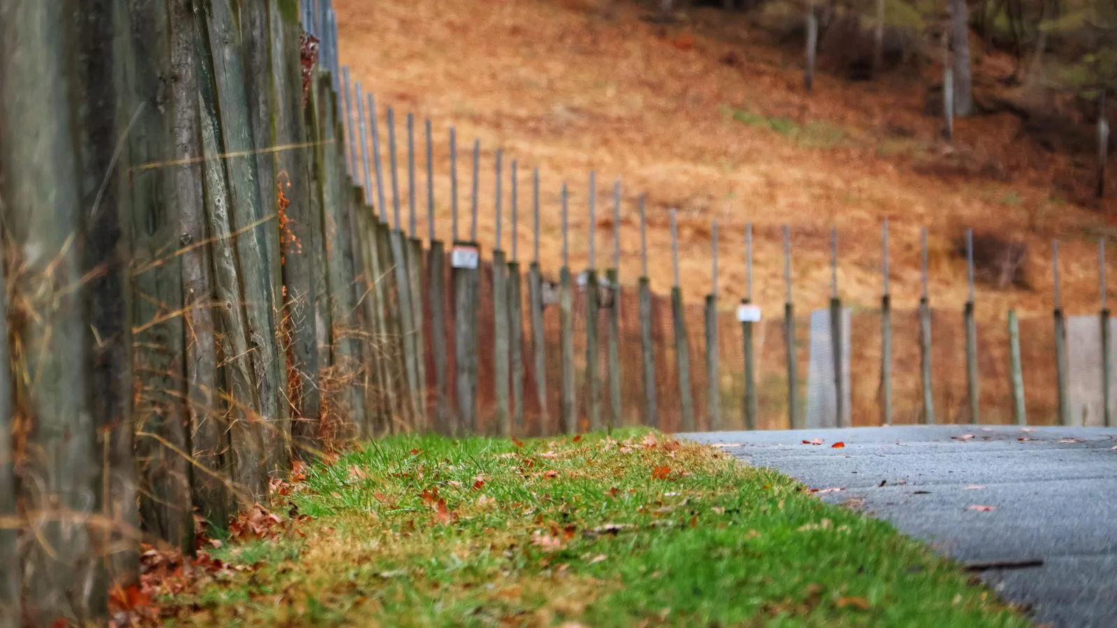 A wooden fence following the rise of a path through an autumn landscape.